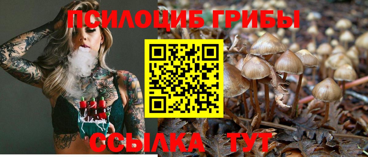 Галлюциногенные грибы MAGIC MUSHROOMS Ставрополь