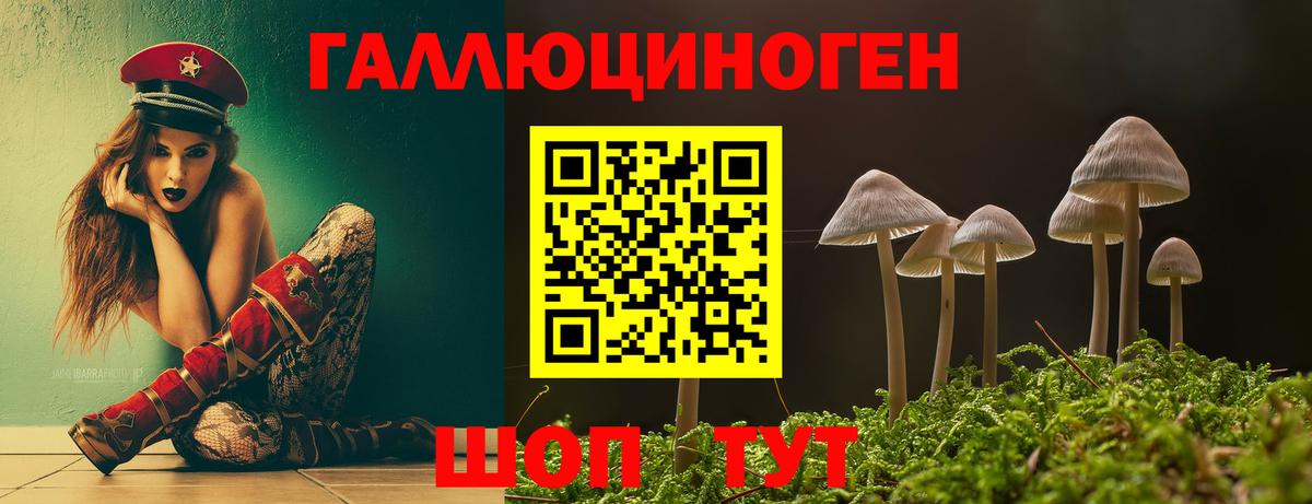 Галлюциногенные грибы GOLDEN TEACHER  Псилоцибиновые грибы GOLDEN TEACHER  Вход с VPN  Ставрополь 